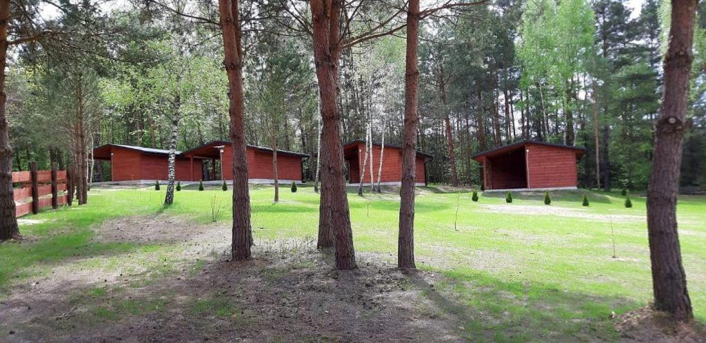 Domki Wrzosowe Wzgórza Nr2 Horyniec Exterior foto