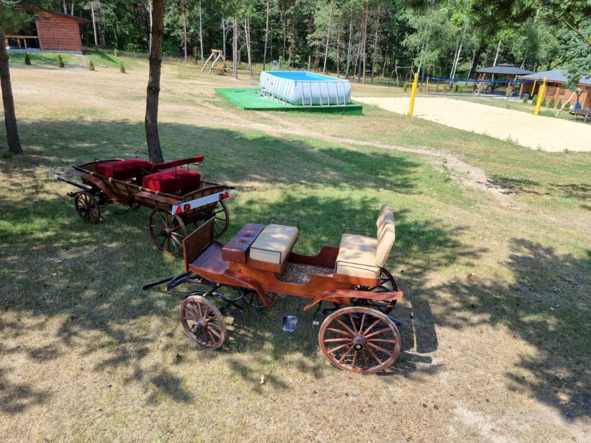 Domki Wrzosowe Wzgórza Nr2 Horyniec Exterior foto