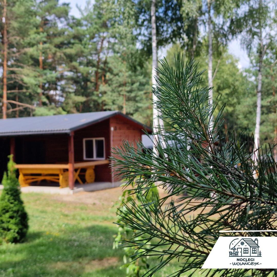 Domki Wrzosowe Wzgórza Nr2 Horyniec Exterior foto